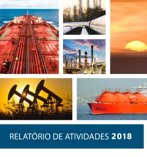 Relatório de Atividades IBP 2018