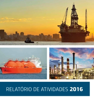 Relatório de Atividades 2016