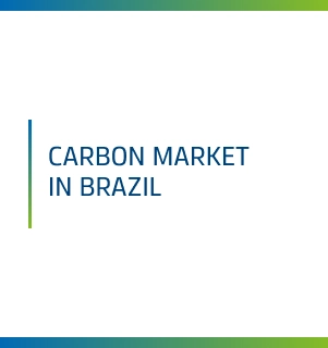 Carbon Market in Brazil