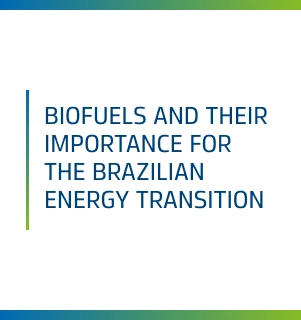Biofuels and their Importance for the Brazilian Energy