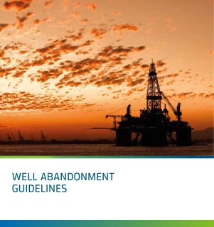 Well Abandonment Guidelines