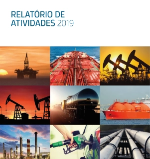 Relatório de Atividades IBP 2019