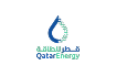 QPI BRASIL PETROLEO LTDA (QATAR PETROLEUM)